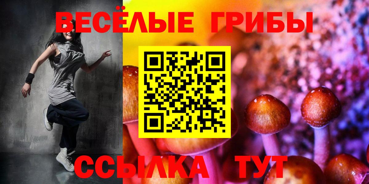 Псилоцибиновые грибы GOLDEN TEACHER  Галлюциногенные грибы прущие грибы  Вход с VPN  Горно-Алтайск 